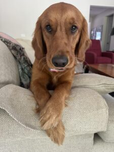 Riley’s Best Day Ever – Tue May 28, 2024