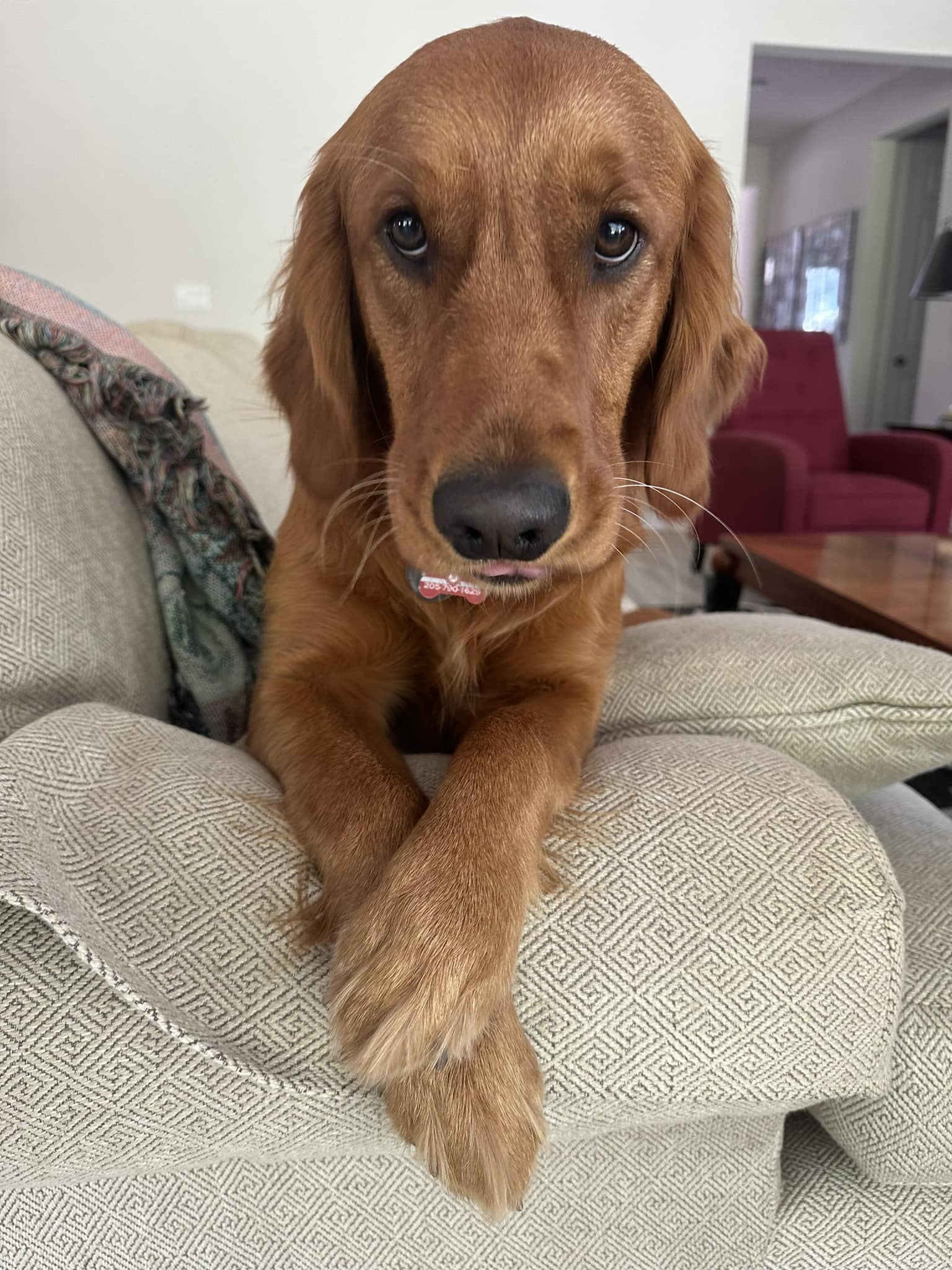 Riley’s Best Day Ever – Tue May 28, 2024