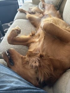 Riley’s Best Day Ever – Fri May 31, 2024