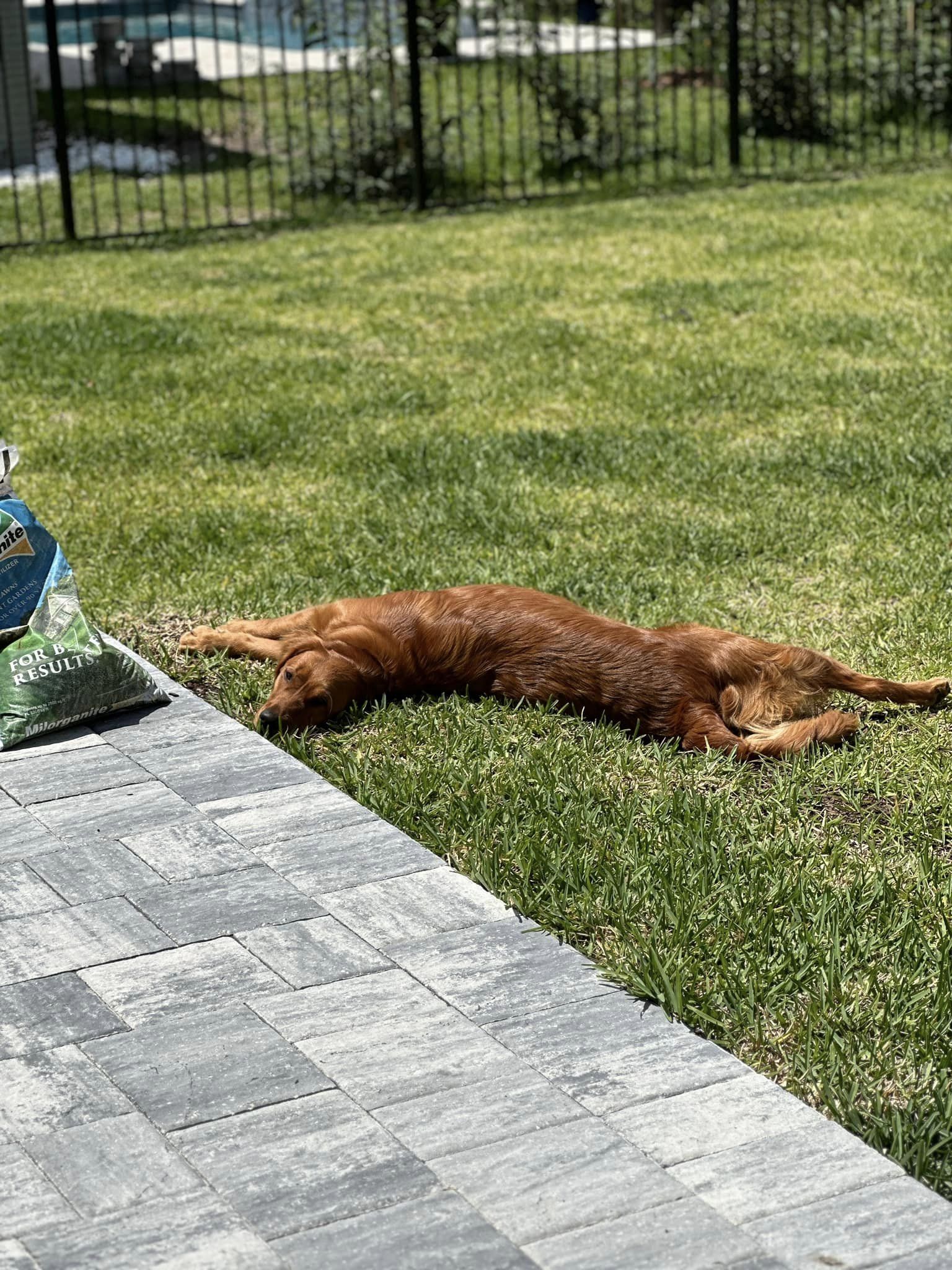 Riley’s Best Day Ever – Wed Jun 5, 2024