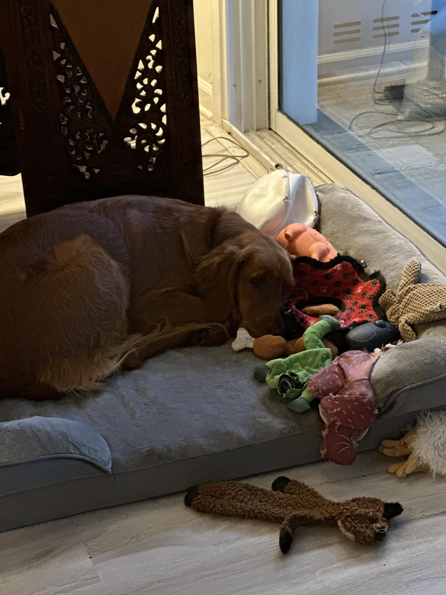 Riley’s Best Day Ever – Fri Jun 7, 2024