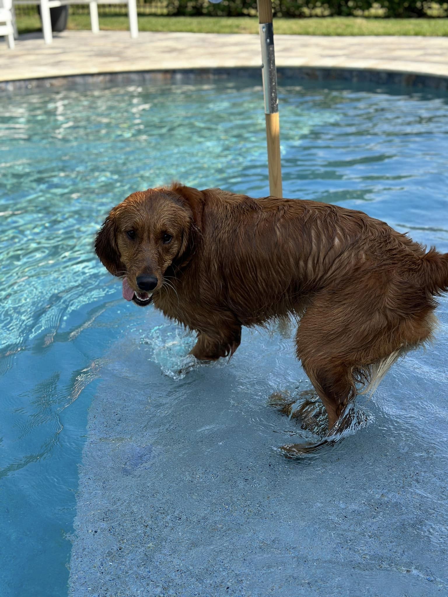 Riley’s Best Day Ever – Sat Jun 8, 2024