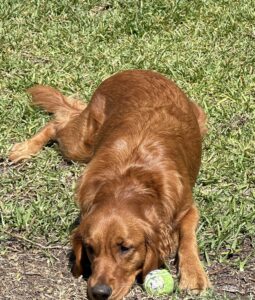 Riley’s Best Day Ever – Wed Jun 12, 2024