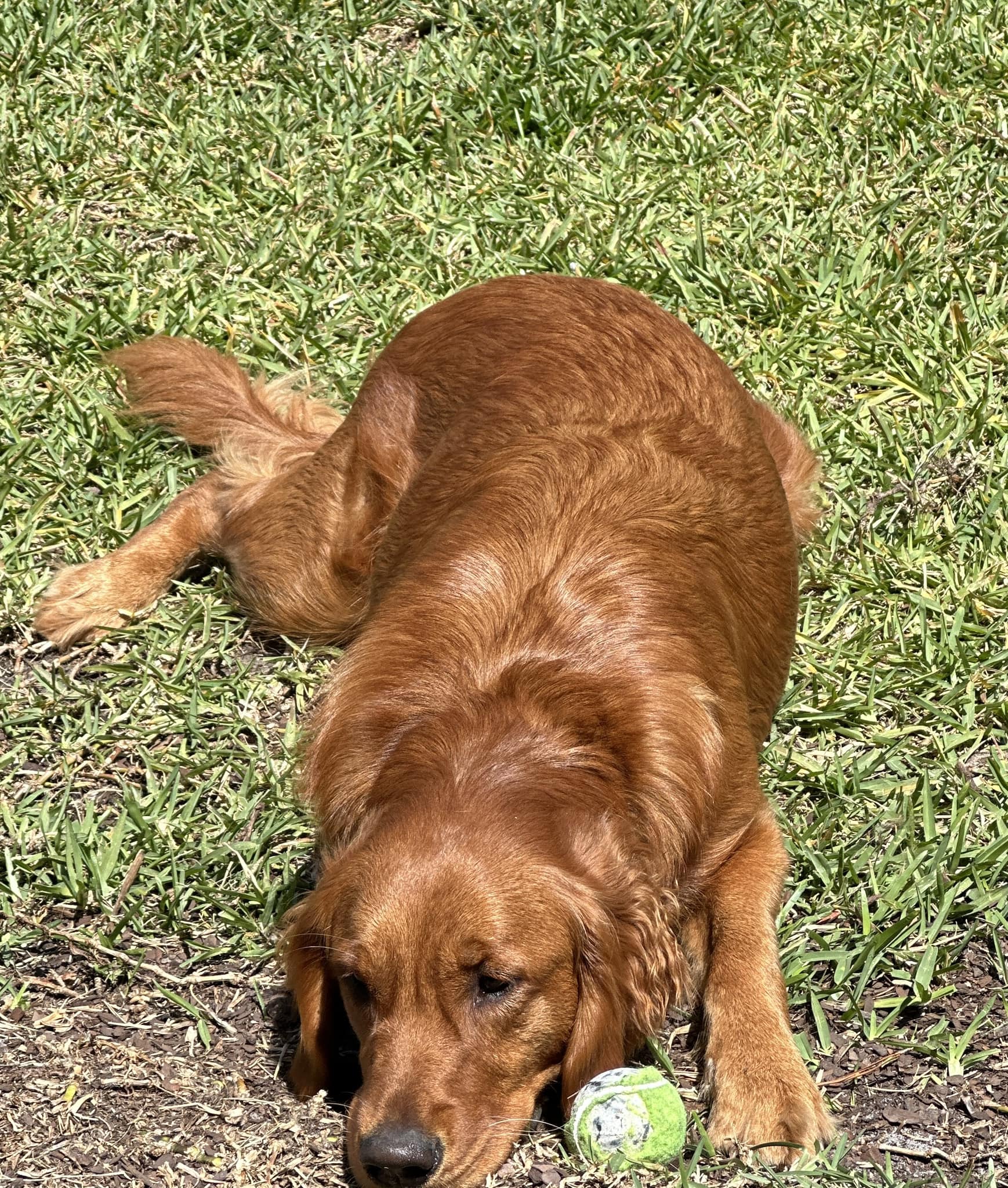 Riley’s Best Day Ever – Wed Jun 12, 2024