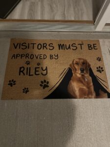 Riley’s Best Day Ever – Thu Jun 13, 2024