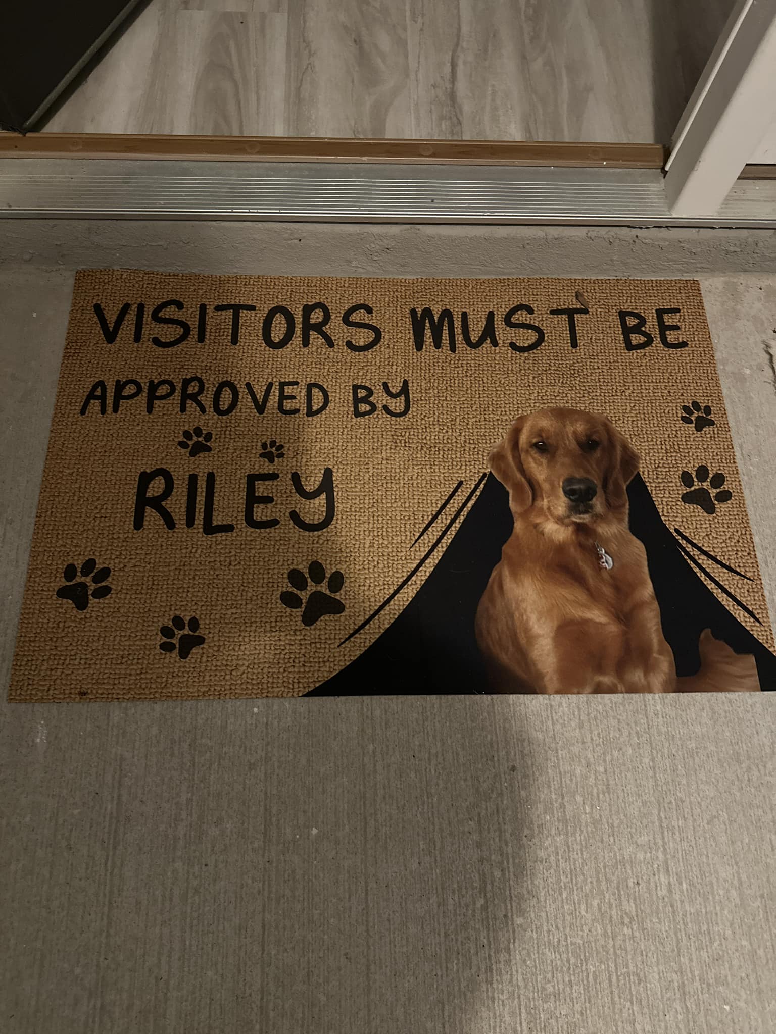 Riley’s Best Day Ever – Thu Jun 13, 2024