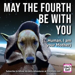 Riley’s Best Day Ever – Sat May 4, 2024
