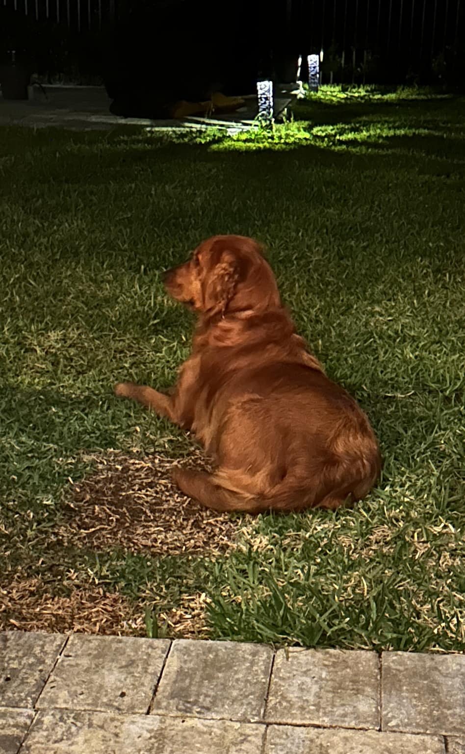 Riley’s Best Day Ever – Tue June 18, 2024