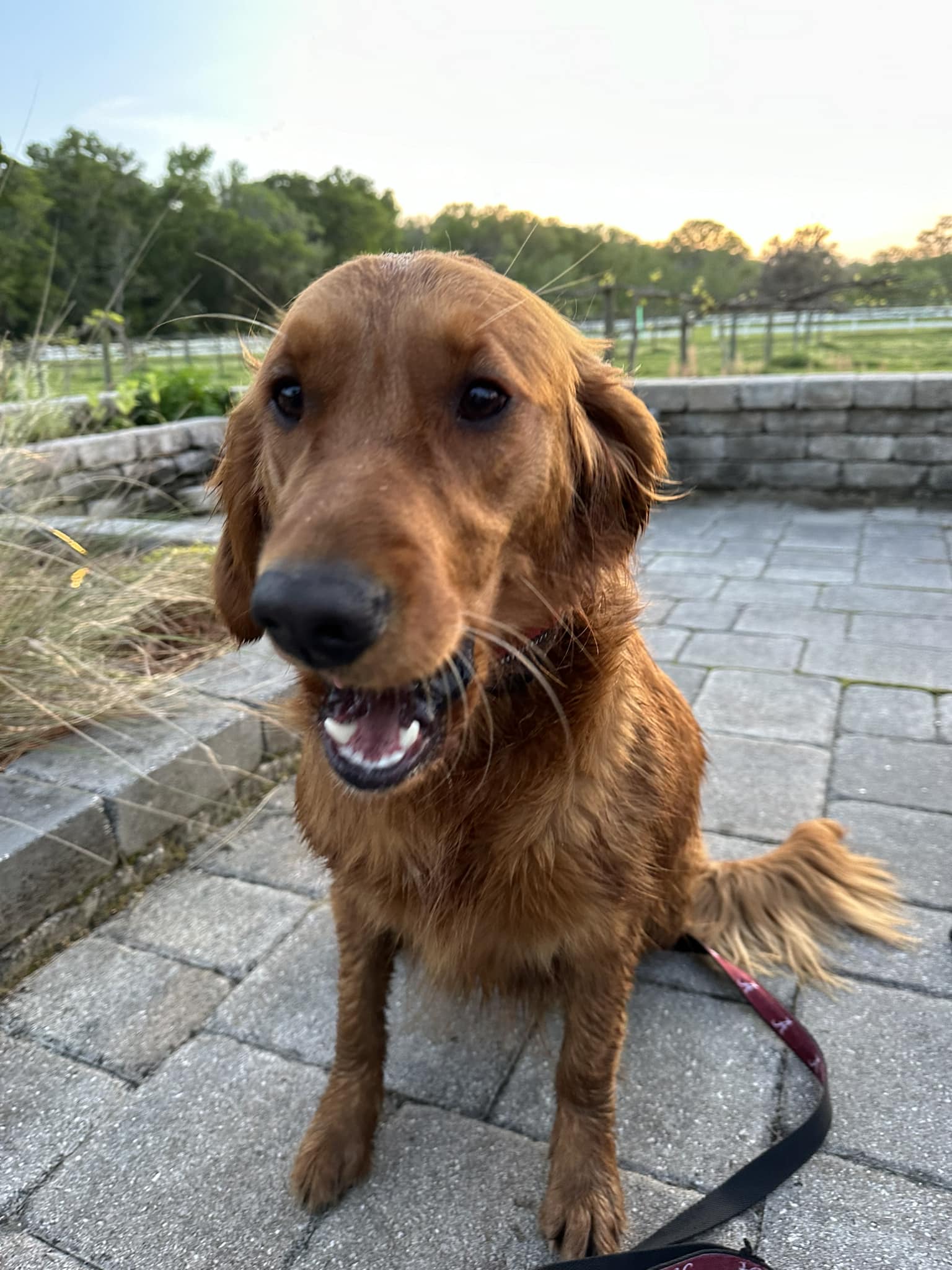 Riley’s Best Day Ever – Sat June 22, 2024