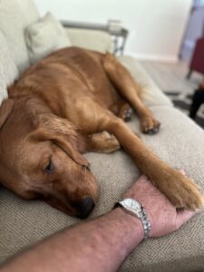 Riley’s Best Day Ever – Sun June 23, 2024