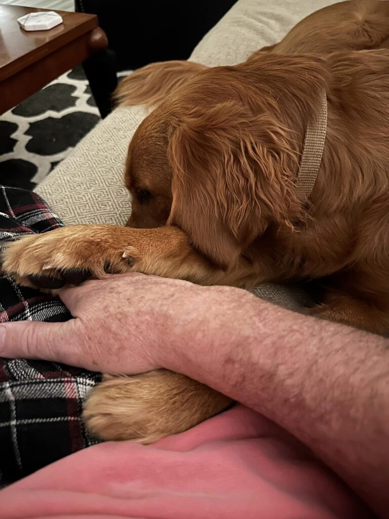 2024 05 16 Riley holding Tom's hand 4