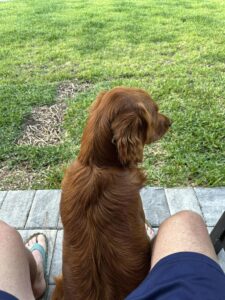Riley’s Best Day Ever – Wed June 26, 2024