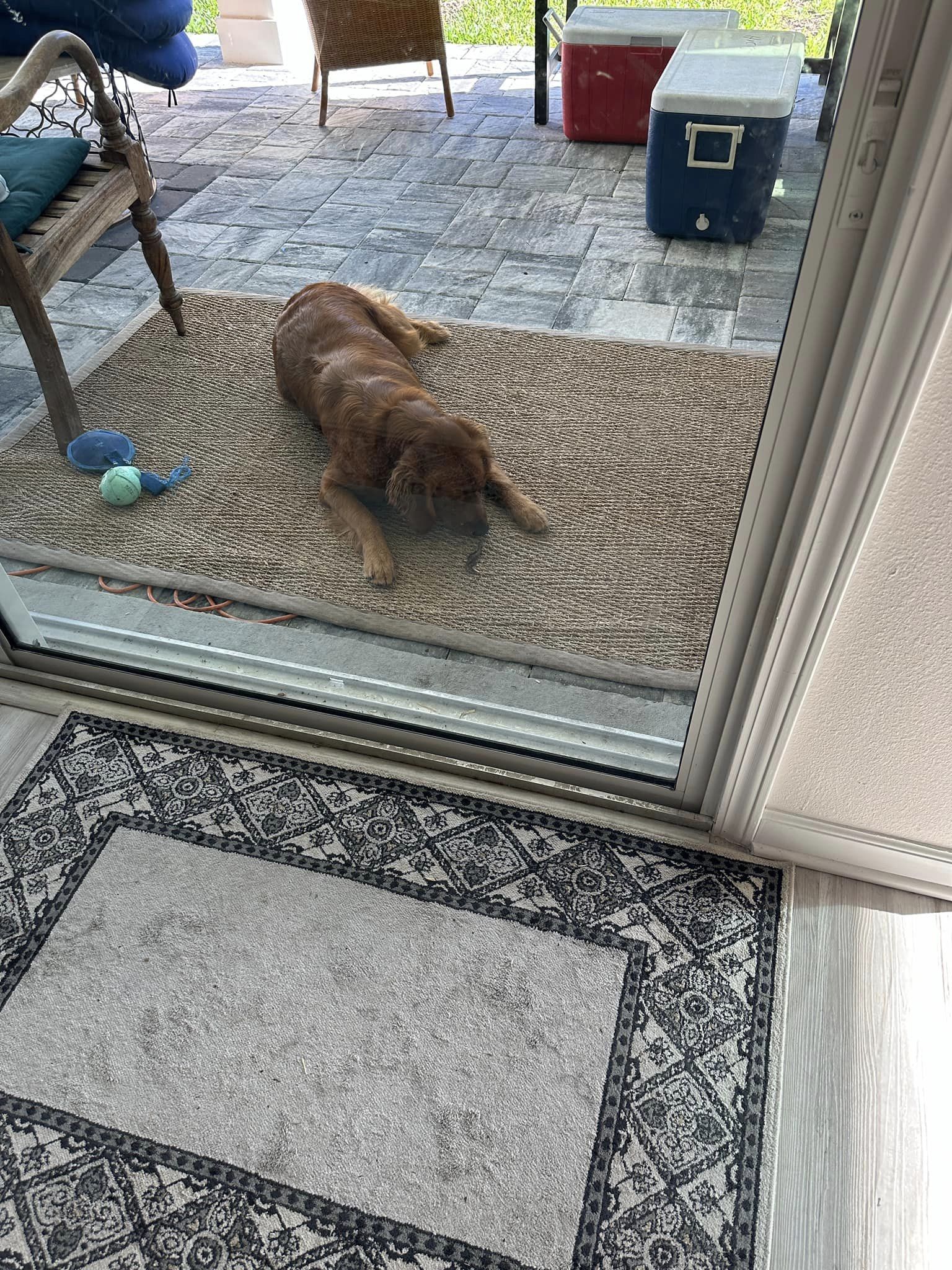 Riley’s Best Day Ever – Fri June 28, 2024