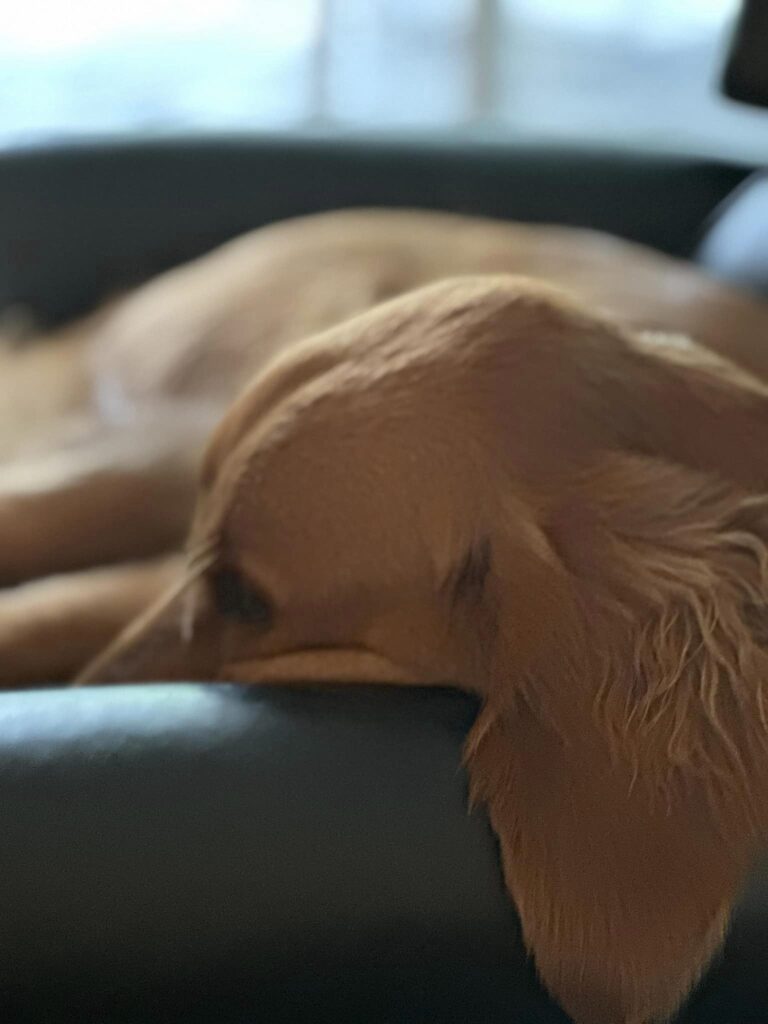 2024 05 24 Riley nap recliner 2