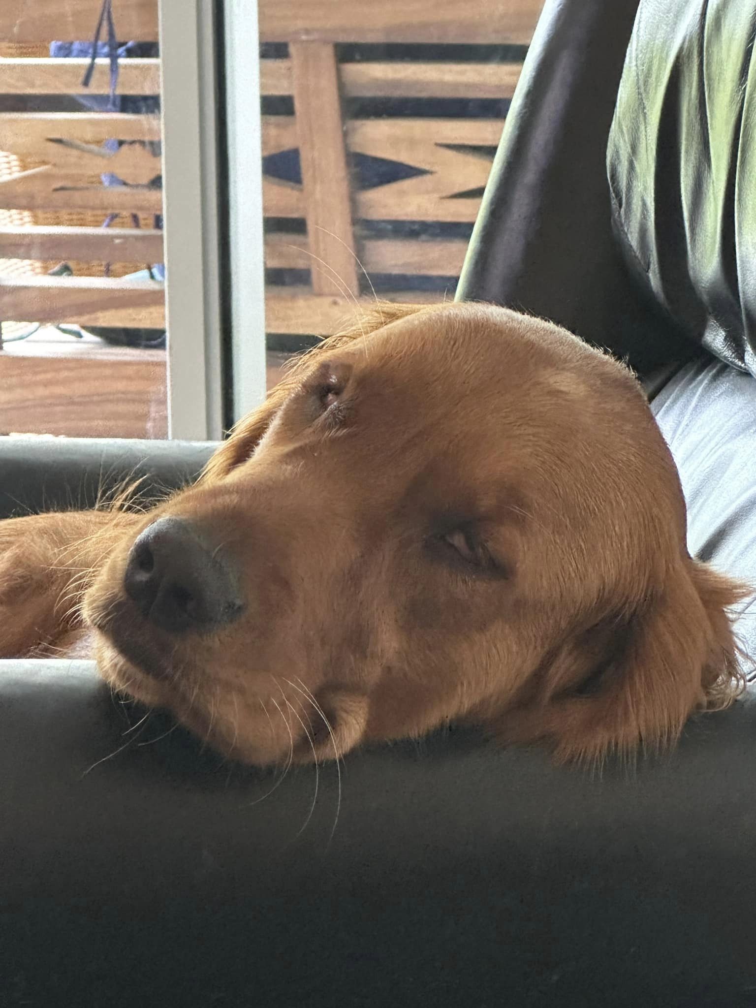 Riley’s Best Day Ever – Sat June 29, 2024