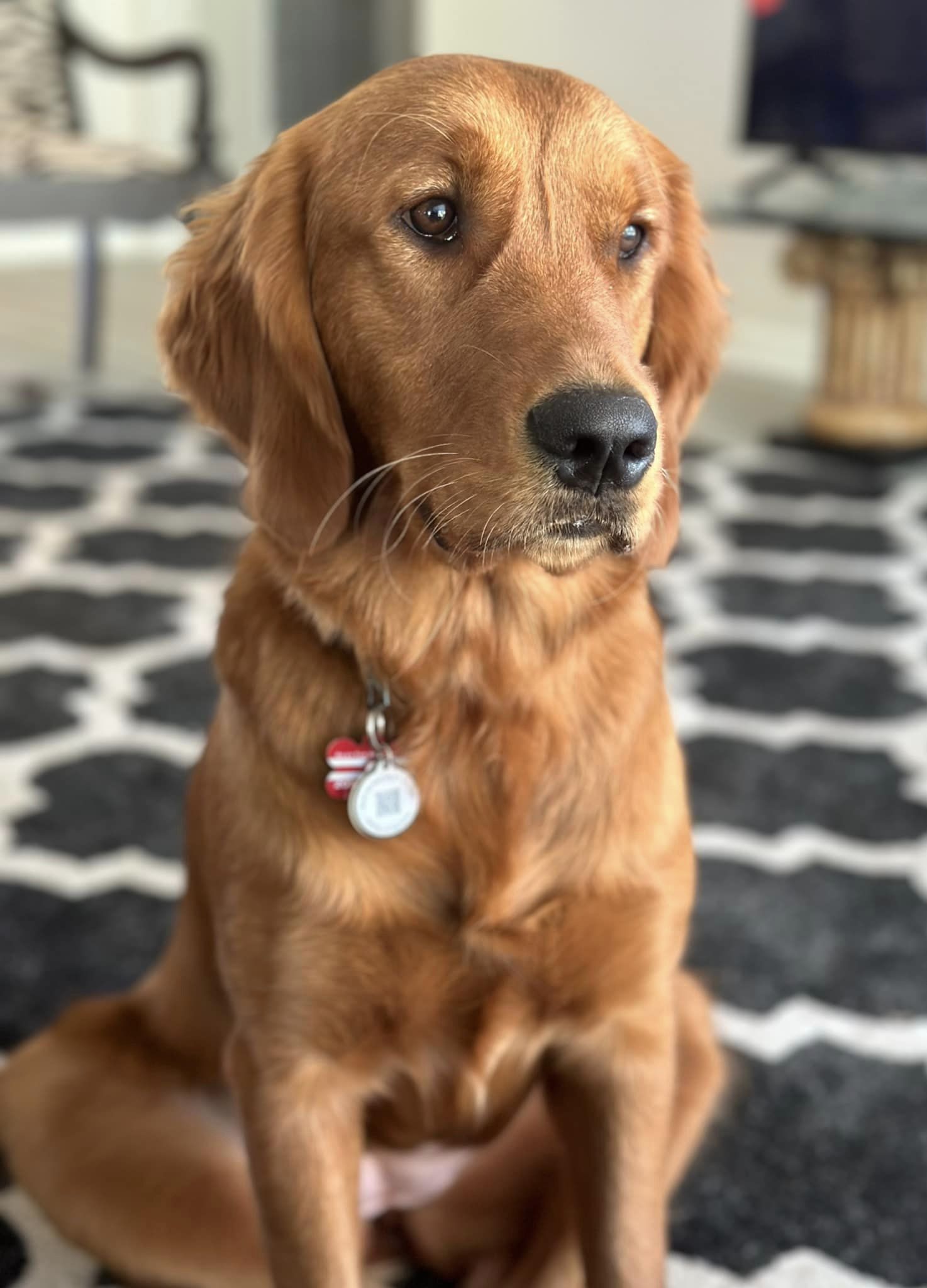 Riley’s Best Day Ever – Sun June 30, 2024
