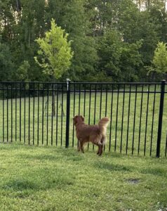 Riley’s Best Day Ever – Tue July 2, 2024