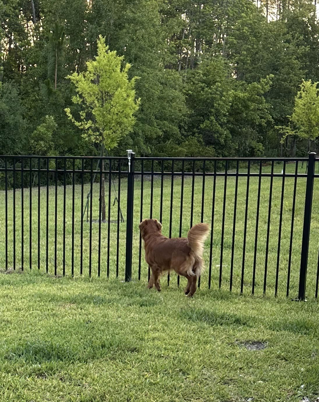 Riley’s Best Day Ever – Tue July 2, 2024