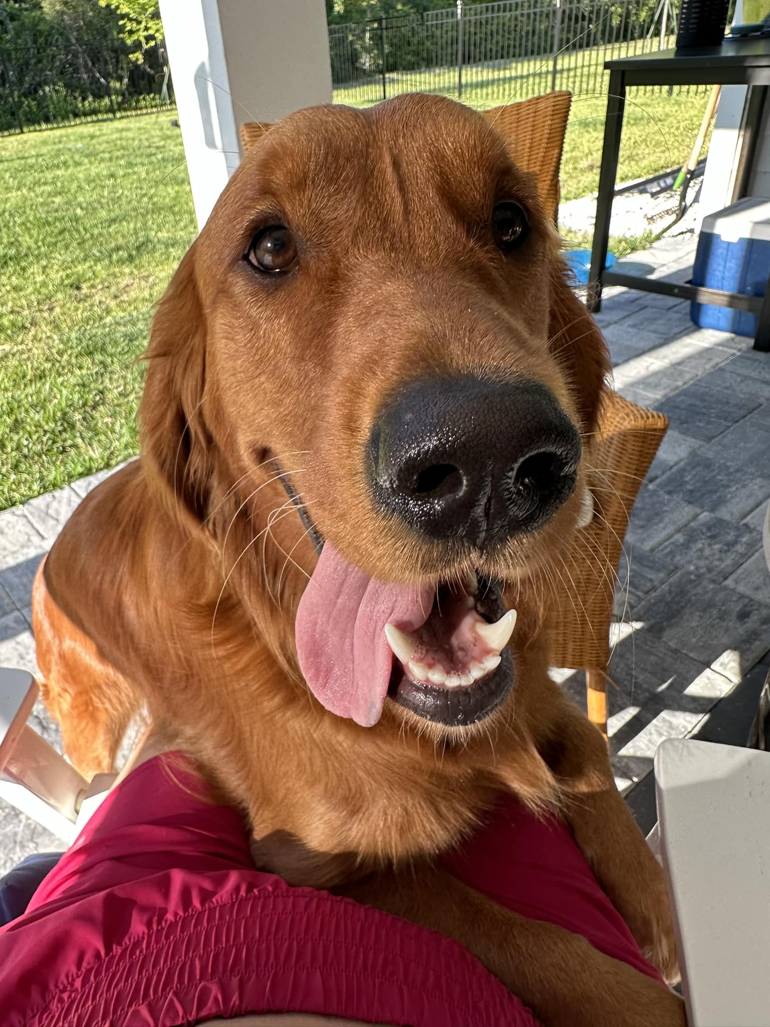 Riley’s Best Day Ever – Wed July 3, 2024