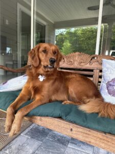 Riley’s Best Day Ever – Fri July 5, 2024