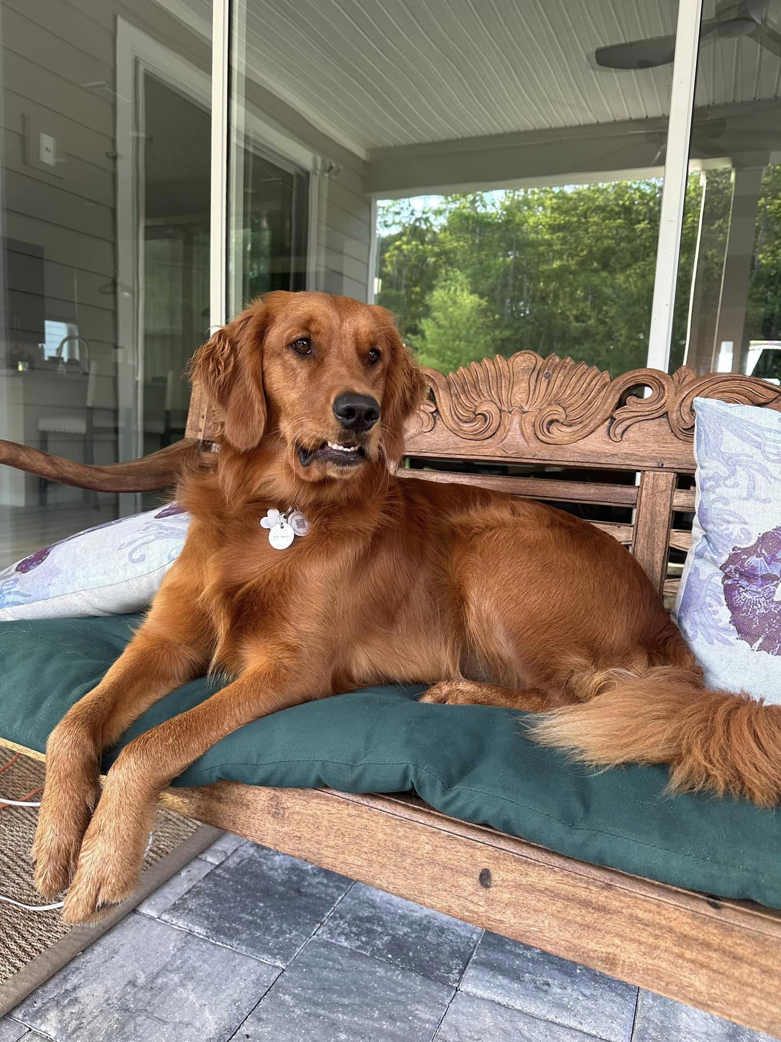 Riley’s Best Day Ever – Fri July 5, 2024