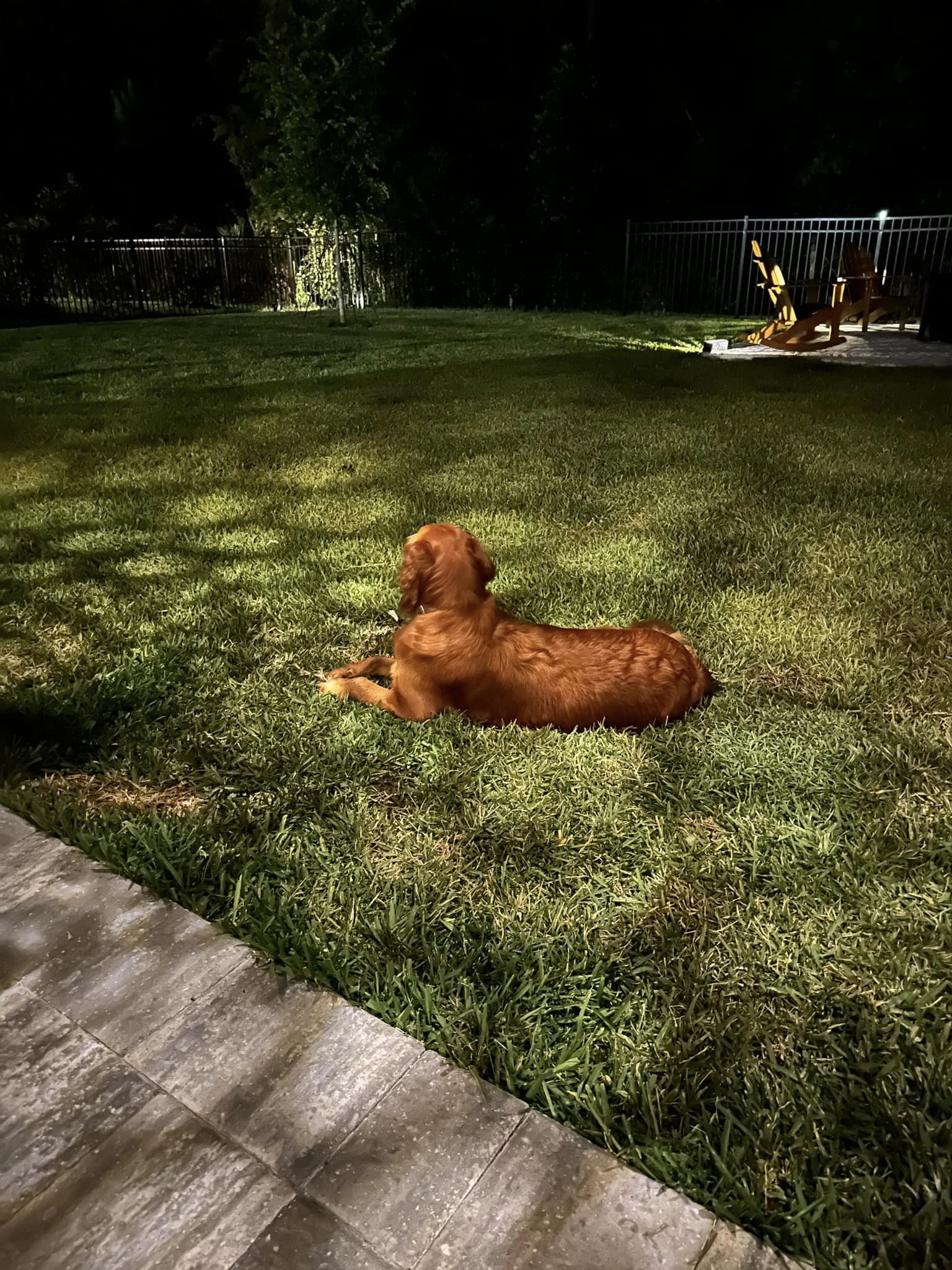 Riley’s Best Day Ever – Tue July 9, 2024