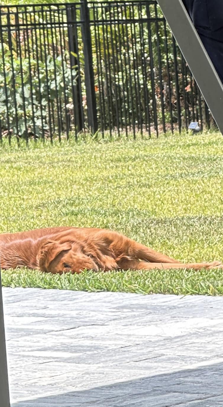 Riley’s Best Day Ever – Thu July 11, 2024