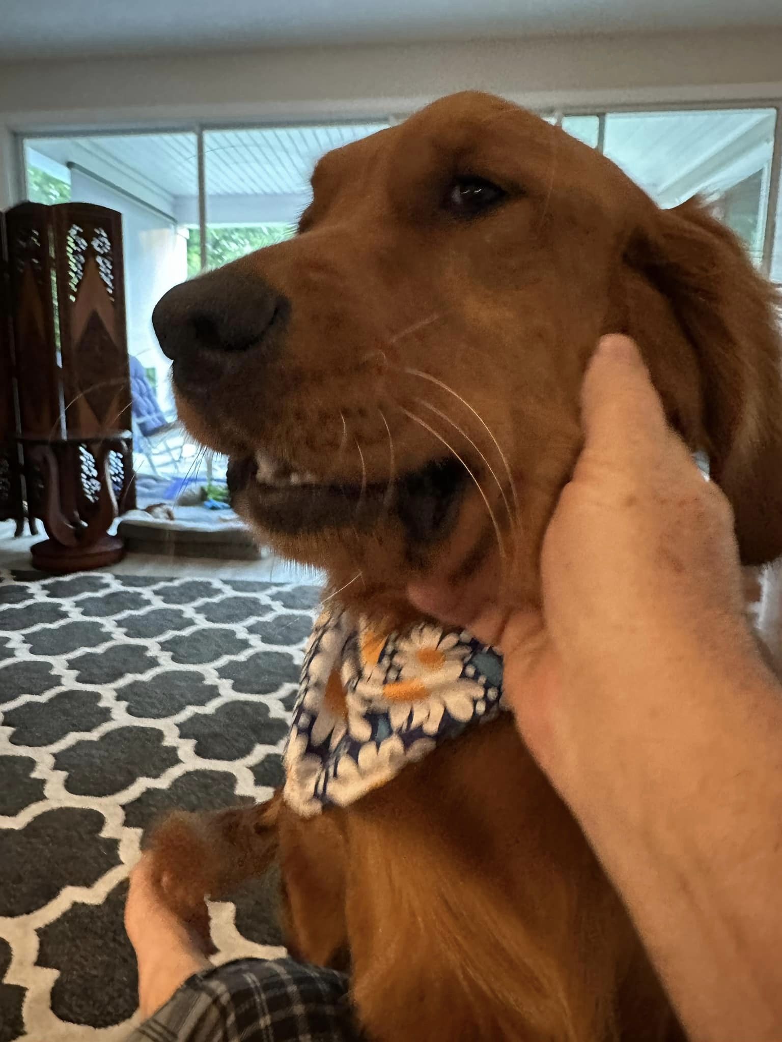 Riley’s Best Day Ever – Sat July 13, 2024