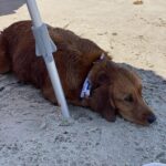 Riley’s Best Day Ever – Mon July 29, 2024