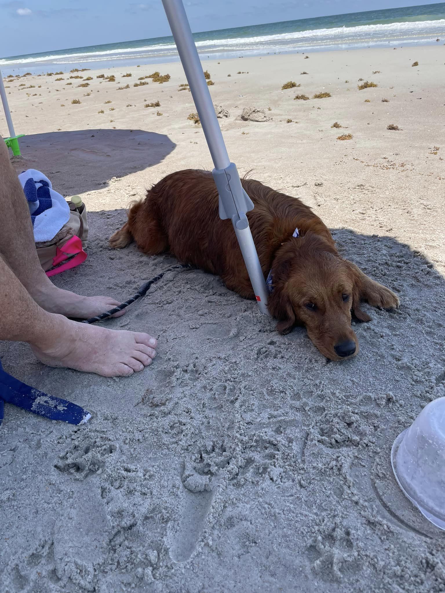 Riley’s Best Day Ever – Sun July 28, 2024