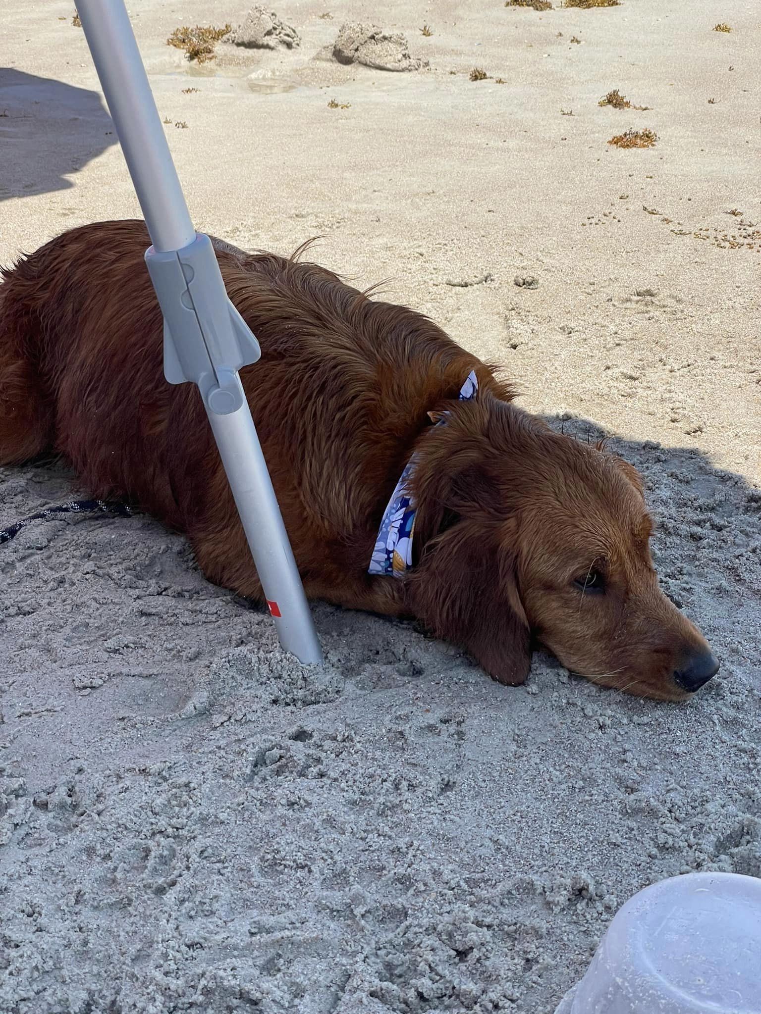 Riley’s Best Day Ever – Mon July 29, 2024