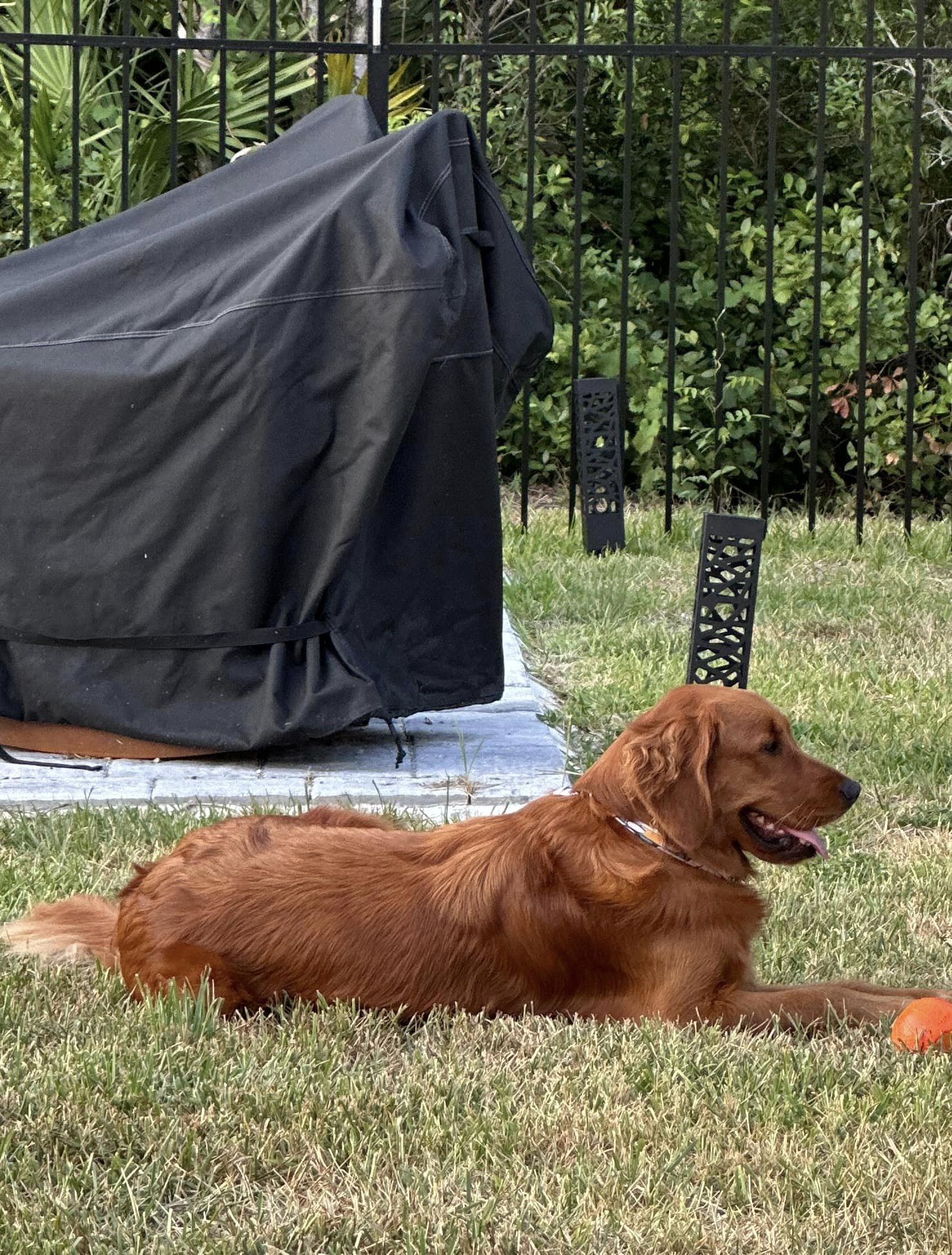 Riley’s Best Day Ever – Wed July 17, 2024