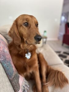 Riley’s Best Day Ever – Mon July 22, 2024