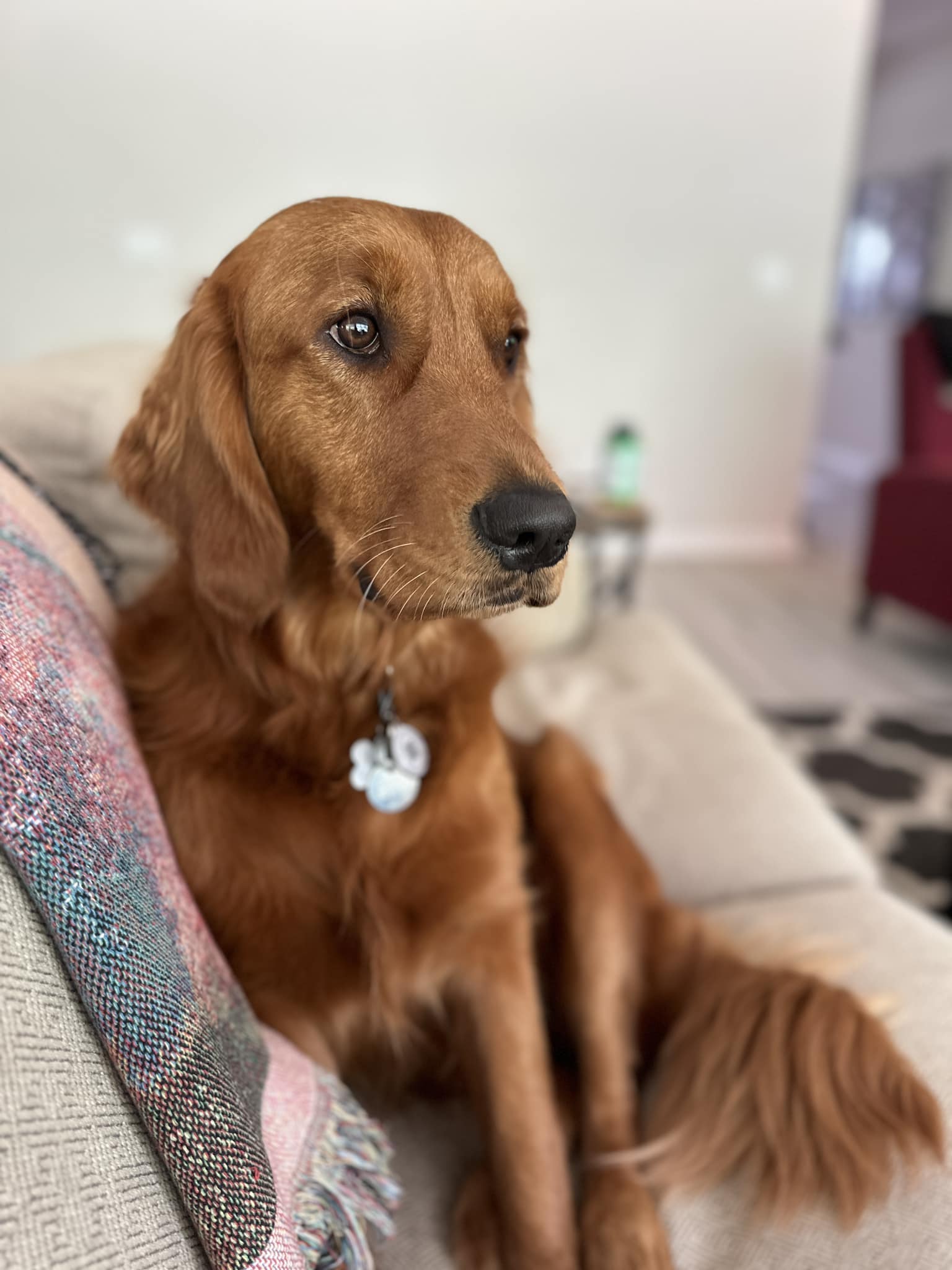 Riley’s Best Day Ever – Mon July 22, 2024