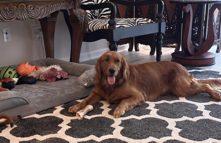 Riley’s Best Day Ever – Wed July 24, 2024