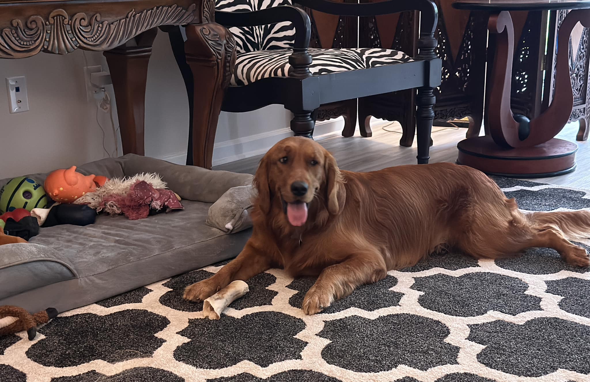 Riley’s Best Day Ever – Wed July 24, 2024