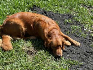 Riley’s Best Day Ever – Fri July 26, 2024