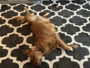 Riley’s Best Day Ever – Sat July 27, 2024