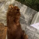 Riley’s Best Day Ever – Tue July 30, 2024