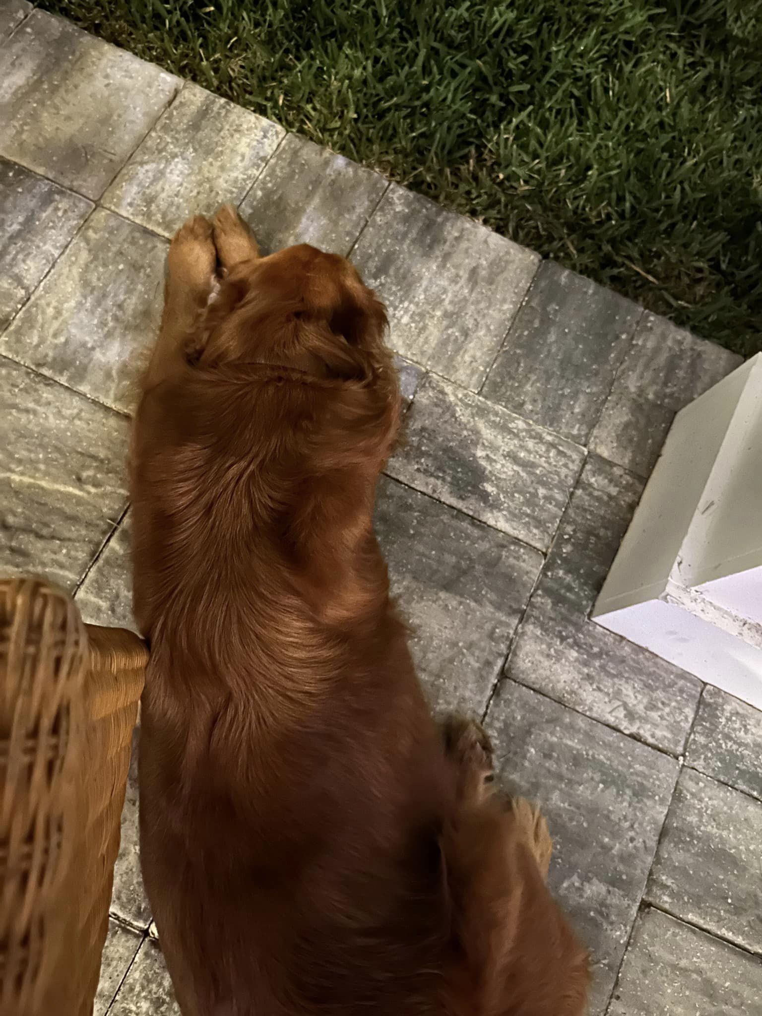 Riley’s Best Day Ever – Tue July 30, 2024